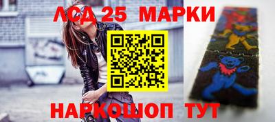 гидропоника Дубна
