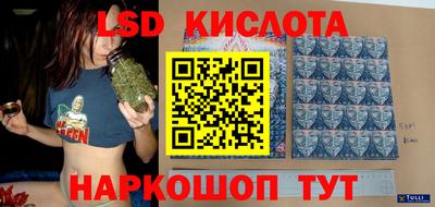 гидропоника Дубна