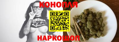 гидропоника Дубна