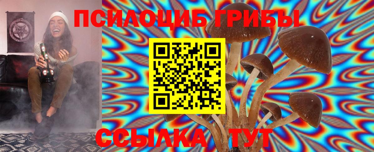 Псилоцибиновые грибы GOLDEN TEACHER Мичуринск