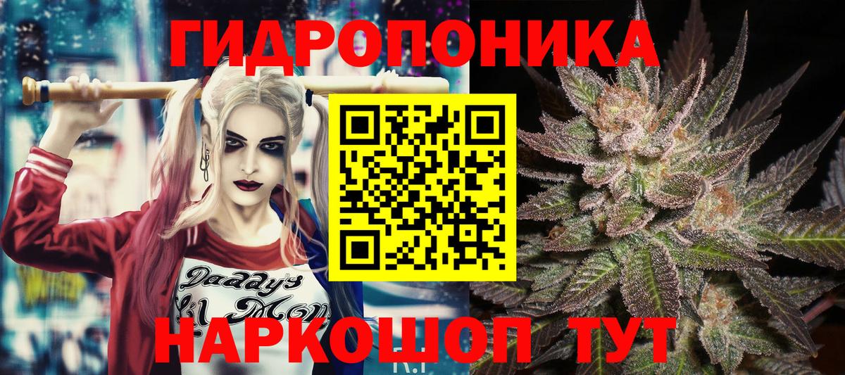 Мичуринск  Бошки марихуана план  Вход с VPN  Бошки Шишки LSD WEED  Марихуана гибрид  Бошки Шишки Bruce Banner 